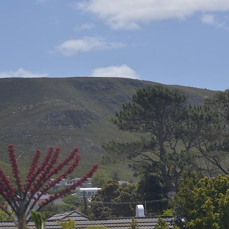 Harmony Place Otel Hermanus Dış mekan fotoğraf