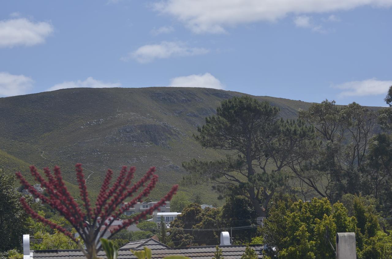 Harmony Place Otel Hermanus Dış mekan fotoğraf